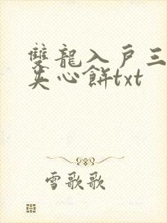 双龙入户三人行夹心饼txt