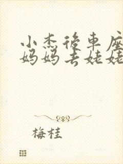 小杰后车座抱着妈妈去姥姥家搬家封面