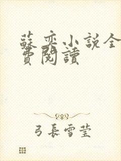 苏奕小说全文免费阅读