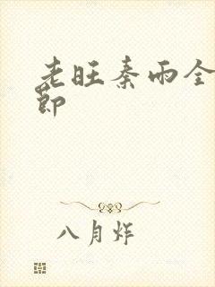 老旺秦雨全部章节