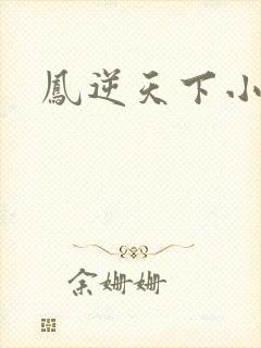 凤逆天下小说封面