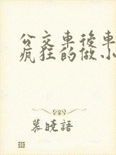 公交车后车座的疯狂的做小封面