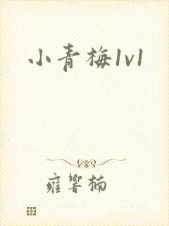 小青梅1v1封面