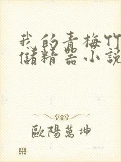 我的青梅竹马是储精器小说