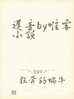 迟音by唯雾的小说封面