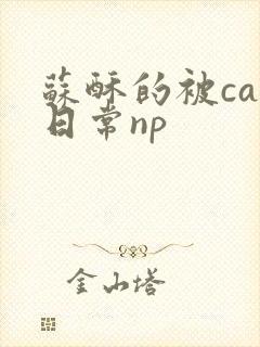 苏酥的被cao日常np