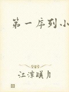 第一序列小说封面