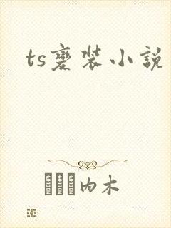ts变装小说