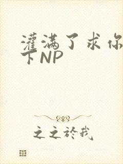 灌满了求你们停下NP