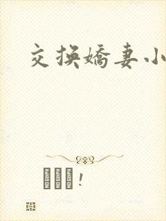 交换娇妻小说封面