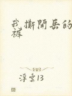 我撕开岳的丁字裤封面