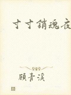 寸寸销魂夜春光