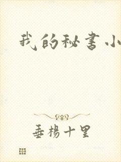 我的秘书小姐