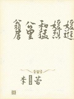 翁公和媛媛在厨房里猛烈进出封面