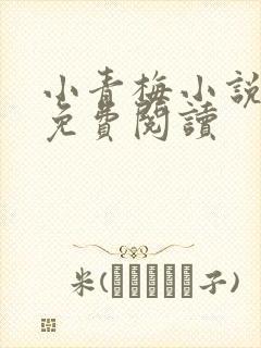 小青梅小说全文免费阅读