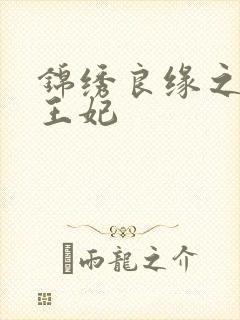 锦绣良缘之北地王妃