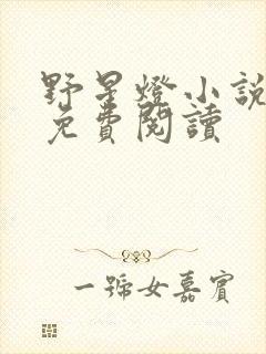 野星灯小说全文免费阅读