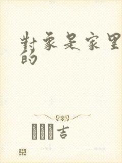 对象是家里安排的封面