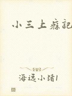 小三上瘾记