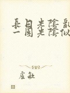 长日光阴 乱作一团光阴似箭封面