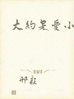 大约是爱小说封面