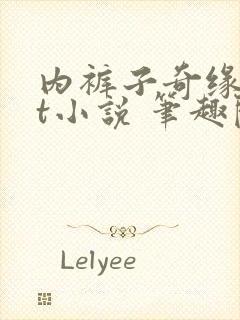 内裤子奇缘txt小说 笔趣阁