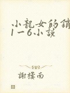 小龙女的销魂夜1一6小说封面