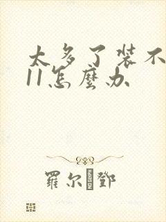 太多了装不下h11怎么办封面