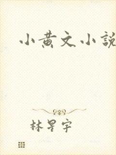 小黄文小说