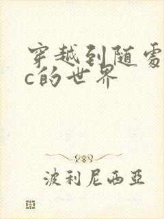 穿越到随处可以c的世界