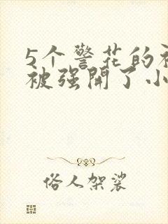 5个警花的初苞被强开了小说封面