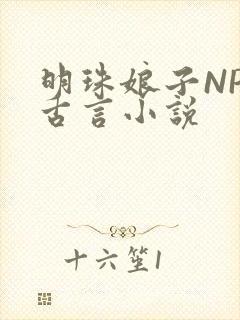 明珠娘子NPC古言小说封面