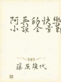 阿兵的快乐生活小说 全章节阅读免费