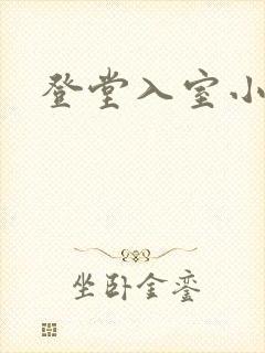 登堂入室小说