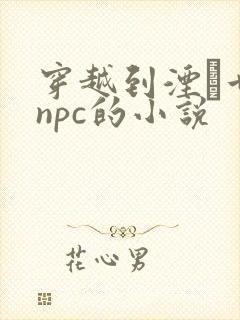 穿越到湮婸世界npc的小说封面