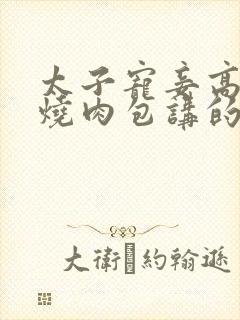 太子宠妾高肉红烧肉包讲的什么