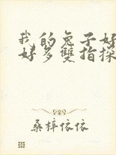 我的兔子好软水好多双指探洞小说封面