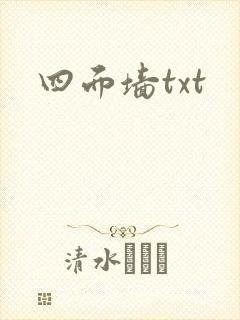 四面墙txt封面