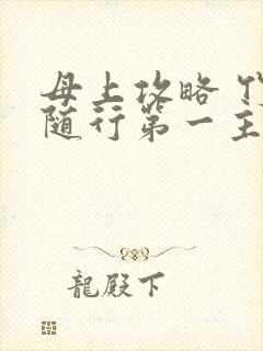 母上攻略 竹影随行第一主板