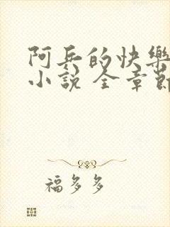 阿兵的快乐生活小说 全章节阅读免费