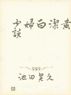 少妇白洁黄色小说