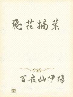 飞花摘叶封面