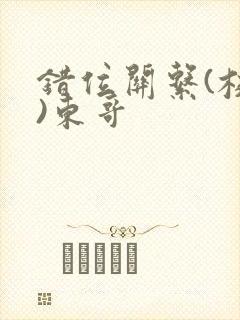 错位关系(校园)东哥封面