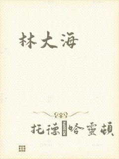 林大海封面