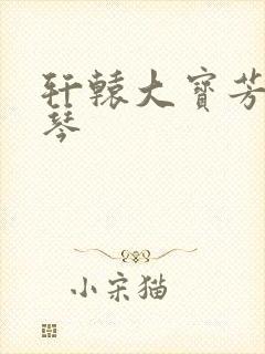 轩辕大宝芳菲雅琴封面