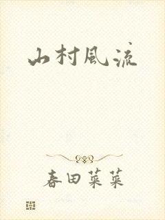 山村风流封面