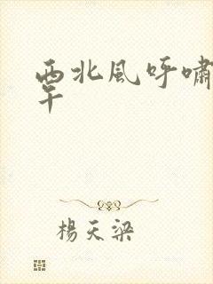 西北风呼啸的中午