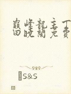 巅峰龙主丁长顺田晓兰免费阅读