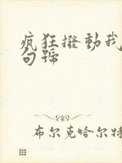 疯狂拨动我的小句号封面