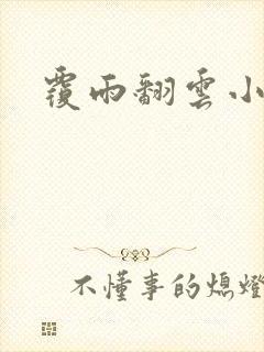 覆雨翻云小说封面